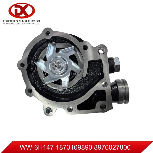 Water pump 6НЕ1